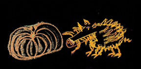 Warthog & pumpkin - Sweet Dreams