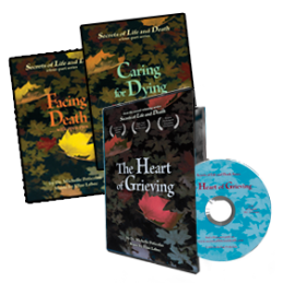 DVDsWidget-259x300 crop