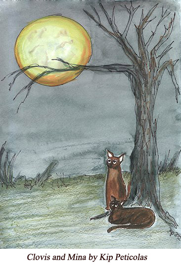 Kips cats - Healing Grief