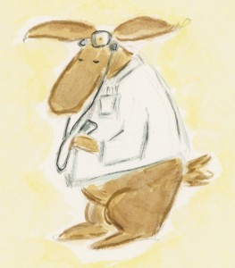 DocRabbitsm - Loss to Life