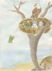 Turtle Falls From Eagle's Nest - True Self