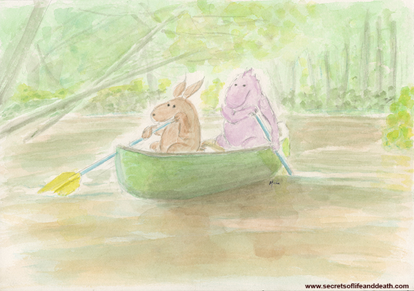 Canoe color sig - Steering Through Change