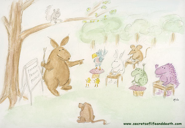 Forest School - School Lessons - new learning from the past